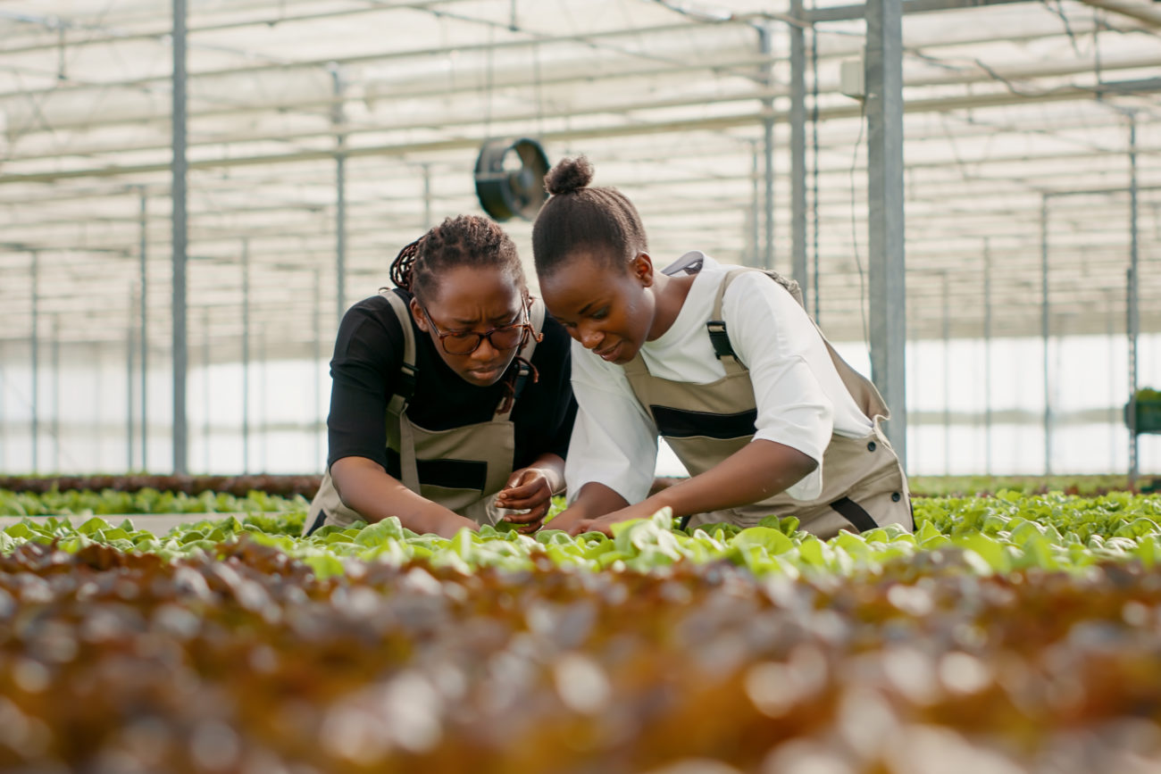 Food Production